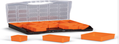 Case with inserts