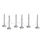 Steel bollard kit with chain
