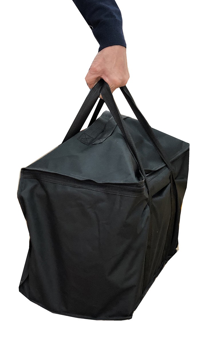 Folding and portable speed bump