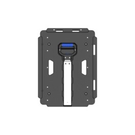 Rolling platform with telescopic handle