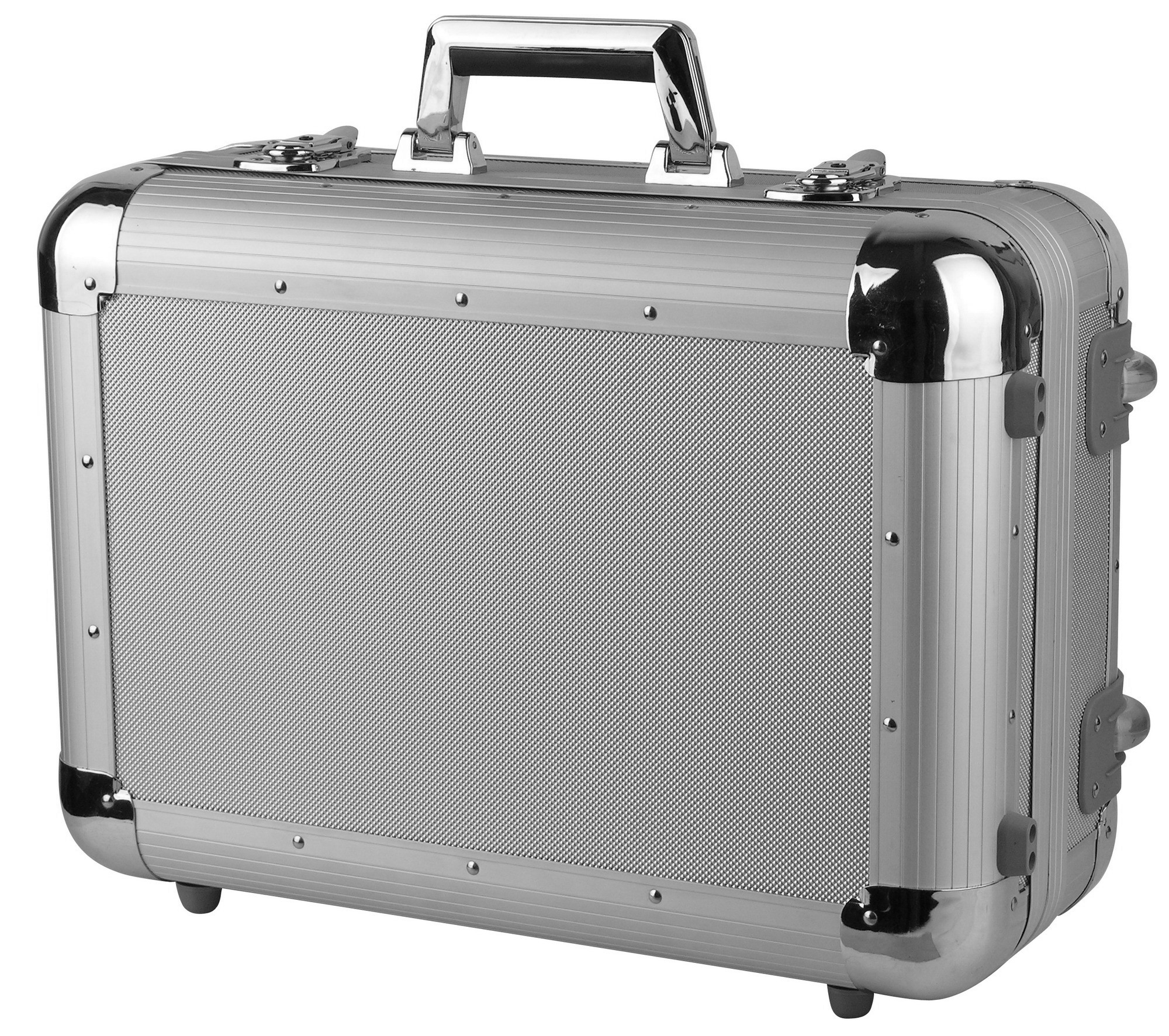Aluminum protective case with telescopic handle