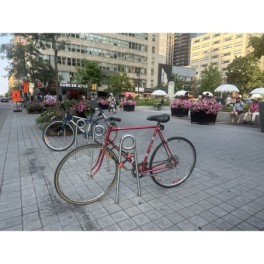 Arceau vélo velopins