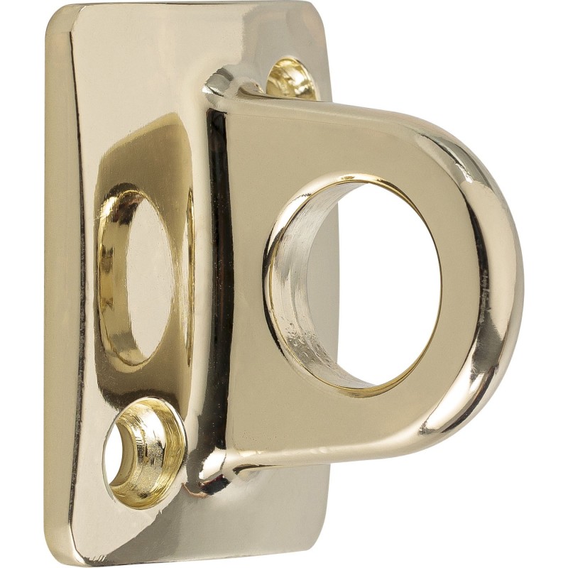 Eye Plate for wall fixation