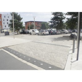 Stainless steel road stud