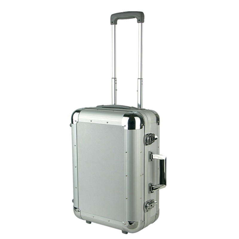 Aluminum protective case with telescopic handle 