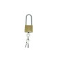 Padlock for parking bollard