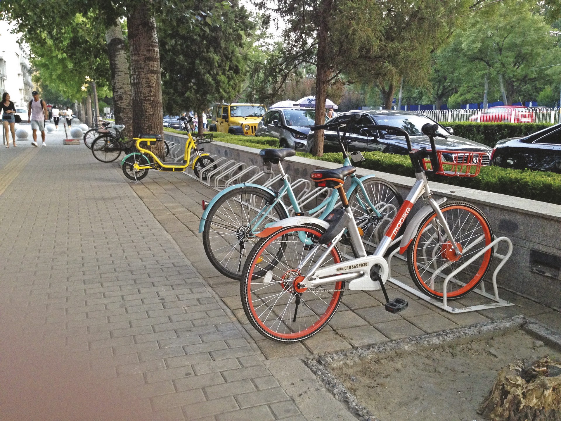 Individual Bicycle Rack