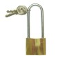 Standard brass padlock with keys