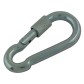 Steel snap hook with screw 